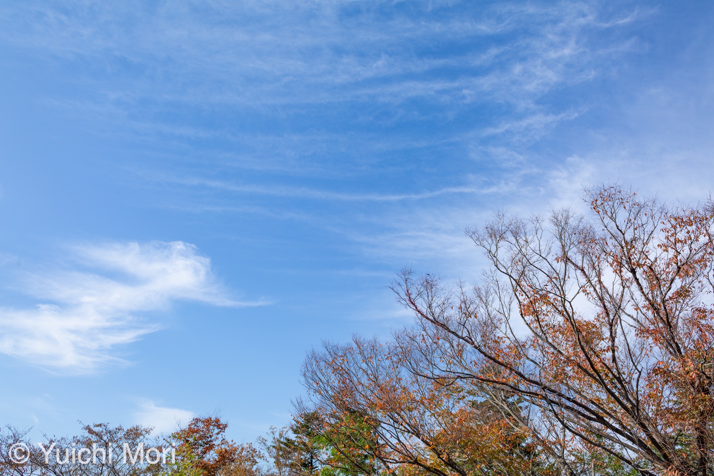 ターム７が始まりました！