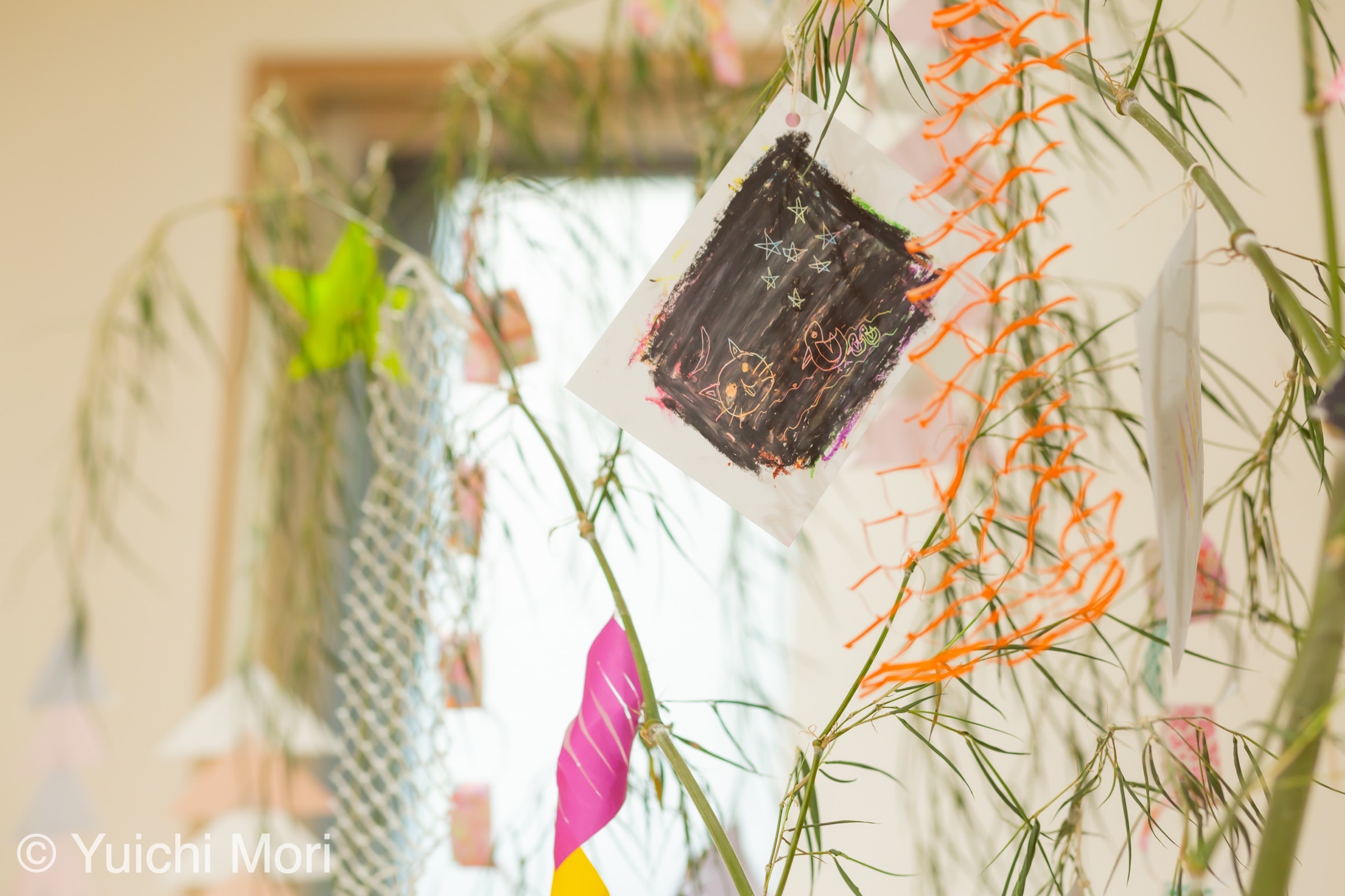 もうすぐ七夕！みんなで笹に飾り付け♪