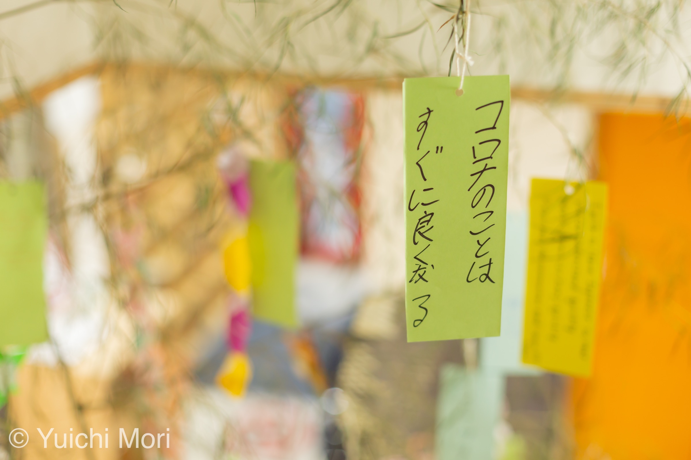 もうすぐ七夕！みんなで短冊に願いを♪