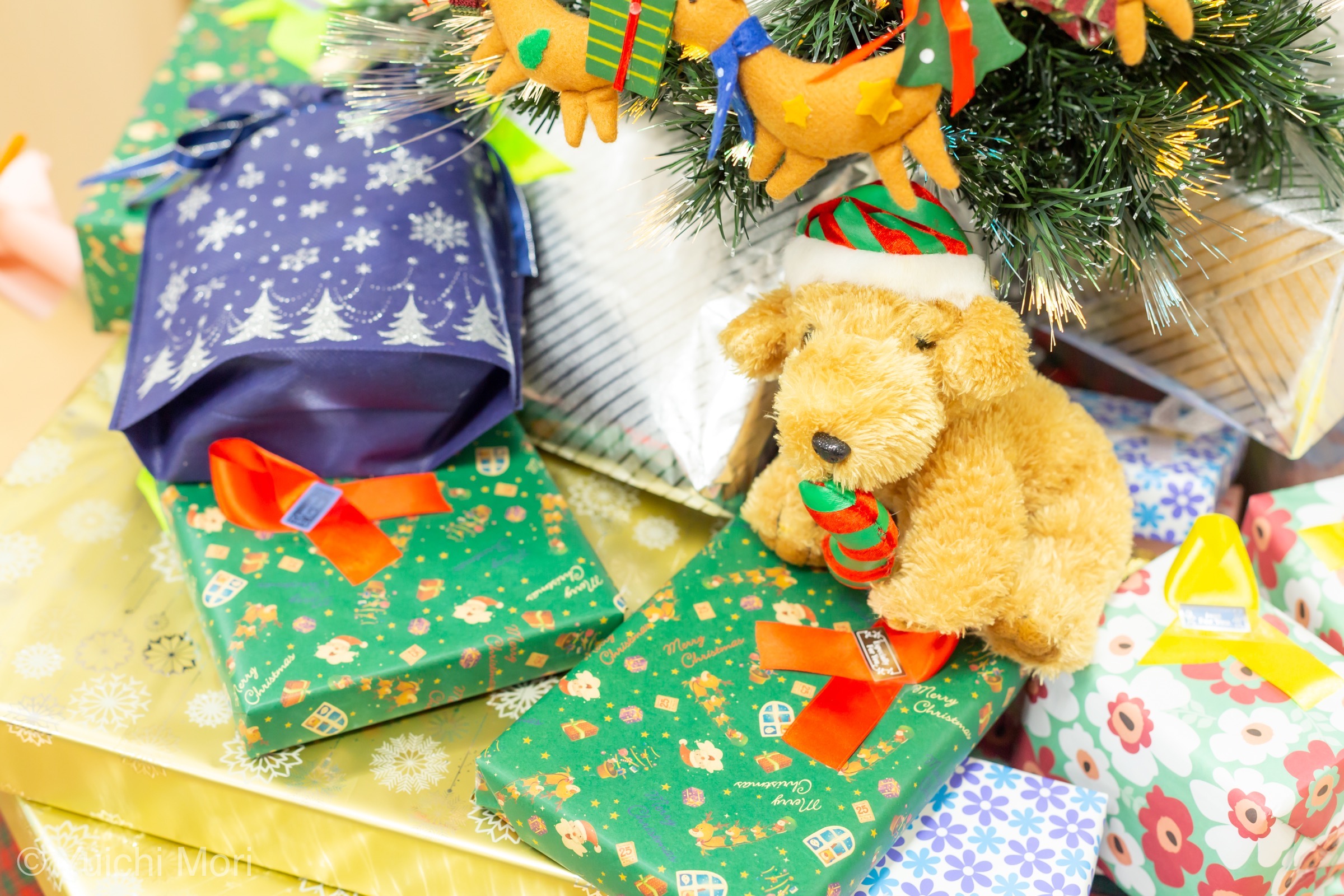 今年最後はクリスマスビンゴ大会♪