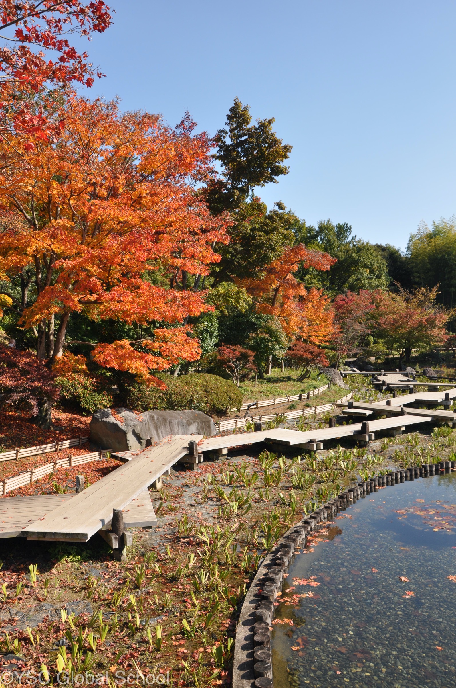 毎年恒例！昭和記念公園へ遠足に行ってきました！